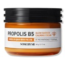 Some By Mi Propolis B5 pleťový krém regeneračný hydratačný proti akné 60 g