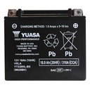 YUASA YTX20HL-BS 12V 18,9AH 310A