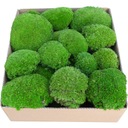 PREMIUM Cushion Moss Medium Green Cardboard 0,06 m2