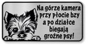 Pozor znamenie York Dog