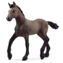 SCHLEICH HORSE FOAL PASO KLUB PERUÁNSKYCH KONÍ