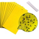 Pasca Lepiace pasce na hmyz Yellow Boards x20