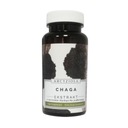 ARCHERBS Chaga - extrakt 50 g