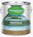 Koopmans 010 HOUTOLIE UV alpská biela 5l