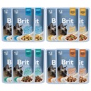 BRIT FAMILY Plate Gravy Krmivo pre mačky MIX 12x85g