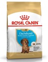 Royal Canin Šteniatko jazvečíka 1,5 kg