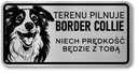 Border Collie Dog Pozornosť Sign