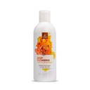 TEMPTATION ESSENTIAL LINE HĺBKOVÝ ČISTIACI ŠAMPÓN 250 ML