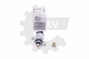 KROKOVÝ MOTOR SKV 08SKV045