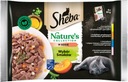 SHEBA Nature's výber príchutí pre mačky 52x 85g