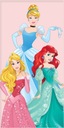 UTERÁK 70 X 140 CM DISNEY PRINCESS