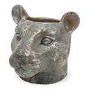 Cougar head cover pot betón cat w480b