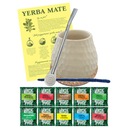 Yerba mate STARTER set 10x50g