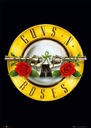 Logo Guns N' Roses - plagát 61x91,5 cm