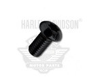 Torx palcový skrutka Harley Davidson 1/4