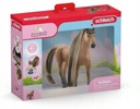 SCHLEICH ACHAL STANICA SOFIA'S BEUTIES 42621