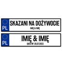 SVADOBNÉ Nálepky na auto na SVADBU Dekoratívne