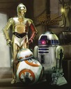 Star Wars Star Wars Droids - plagát 40x50 cm