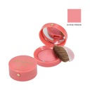 BOURJOIS LITTLE BLUSH 2,5G 54