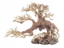 PROGROW BONSAI STROM BT5S 25X10X20CM OZDOBA STROMU