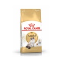 ROYAL CANIN Ragdoll Adult 2kg Krmivo RAGDOLL CAT 1+