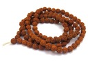 Semená MALA Buddhist RUDRAKSHA [S062]