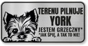 Pozor znamenie York Dog