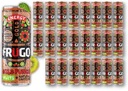 24 x FRUGO Wild Punch GOLD Energy HORIZONTAL 330ml