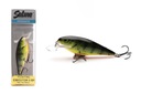 WOBLER SALMO EXECUTOR SR 12cm-SKUTOČNE HORÚCI BIEDL