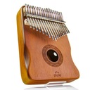 Pure Kalimba Melody Pro 17