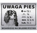 Tabuľka 20x15 Pozor pre pes vstúpite svoj vlastný rizikový kuriér Cavalier King