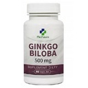 MEDFUTURE ginkgo biloba 500 mg koncentrácia 60 kapsúl