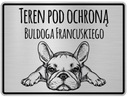 Pozornosť psom tanier francúzsky buldog