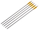 Poe Lang Carbon Fiber Arrow Arrow 30'' SET