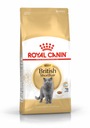 ROYAL CANIN Britská krátkosrstá 4 kg Britská mačka