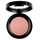 Pierre Rene Professional Rouge Powder lícenka 09 6g P1