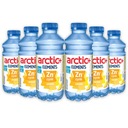 Arctic+ Elements Beauty ananás 600 ml x 6 kusov