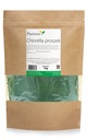 Prírodný prášok z riasy chlorella 1kg