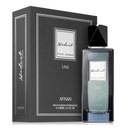 Afnan Modest Pour Homme Une 100ml edp sprej