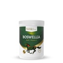 HorseLine Boswellia Seratta 900g KYSELINA BOSWELLOVÁ