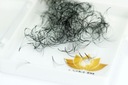 FAN EYELSHES SILK TUNTS 5D-0,05 TWIST C-950 PCS1322 - 10 mm