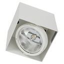 PLAZA Downlight 1 biela Milagro ML4743