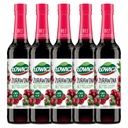 Łowicz Brusnicový ovocný sirup 5x 400ml