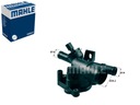 TERMOSTAT RENAULT 81C 2.3DCI MASTER 10-