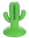 FLAMINGO GUMA DENTAL CACTUS 9,5x9,5x12,5 521976