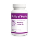 DOLFOS Multical BigDog vitamíny a minerály 90 tabliet