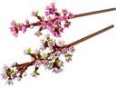 DARČEK KU DŇU DETÍ Lego MERCHANDISE 40725 Cherry Blossoms