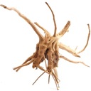 5x Red Moor Japanese Root Natural pre akvárium alebo terárium 10-15cm