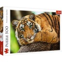 PUZZLE 500 PORTRÉT TIGR