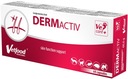 Vetfood Dermactiv 60 kapsúl Skin and Fur